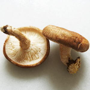 Pasta with Wild Mushrooms