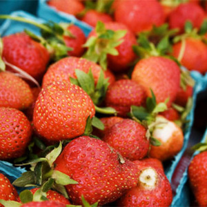 Tequila por mi Amante Recipe