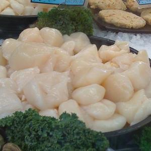 Wild Scallops With Black Truffle Brandy Reduction and Mashed Great Northern Beans