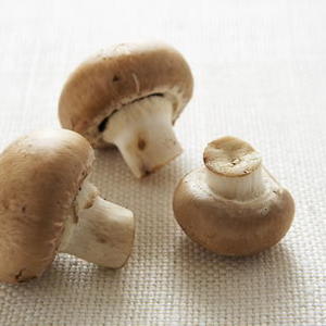 Mushrooms in a Coriander-Scented White Sauce