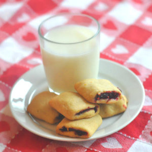 Homemade Cranberry Newtons Recipe