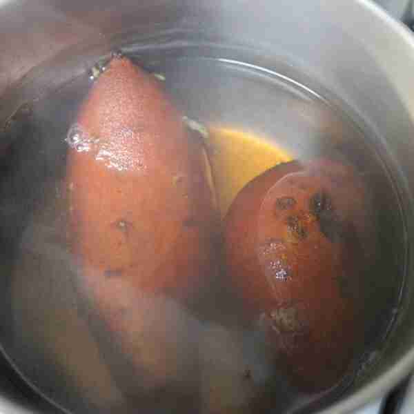 Homemade Dog Food Revisited