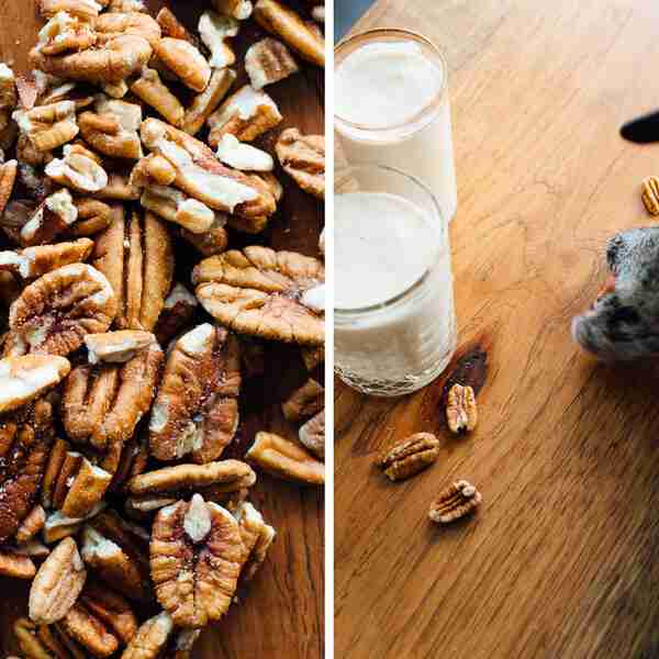 Delicious And Easy Made Pecan Milk! – Good Food Channel – Delicious Healthy Food : Chinese, Mexican, Thai, Indian, Italian, etc