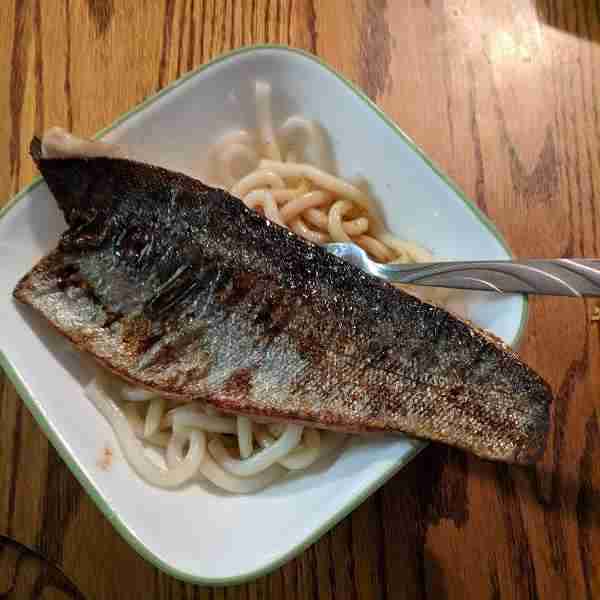 Rainbow Trout Udon