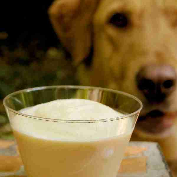 Tinker’s Cuddy / Homemade Frosty Paws