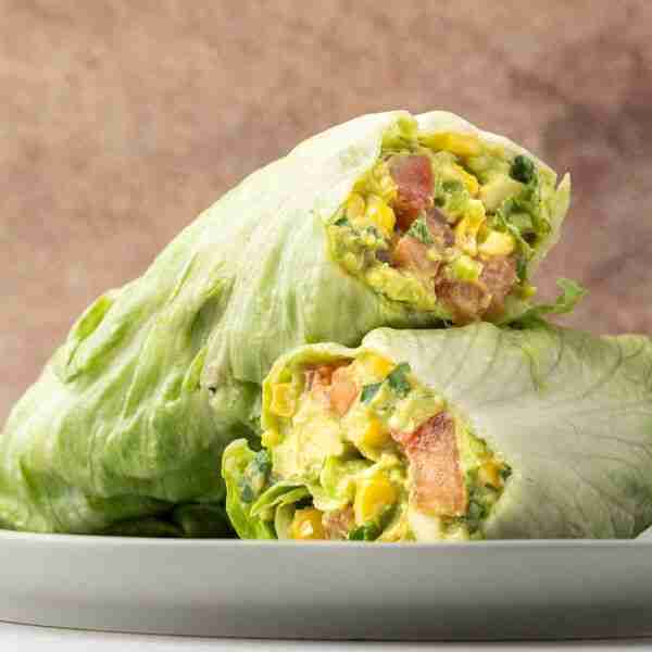 Raw Food “Burrito”