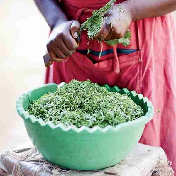 Collard Greens with Tomatoes and Garlic