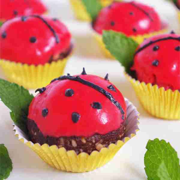 Homemade Ladybug Candy