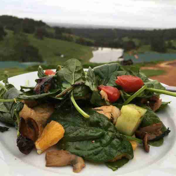 Keto Chicken orange holiday BBQ salad